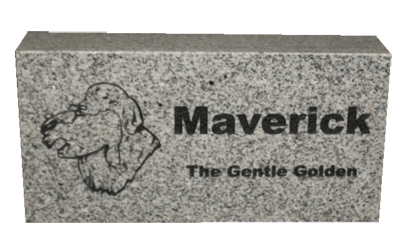 Cat Pet Marker - Maverick